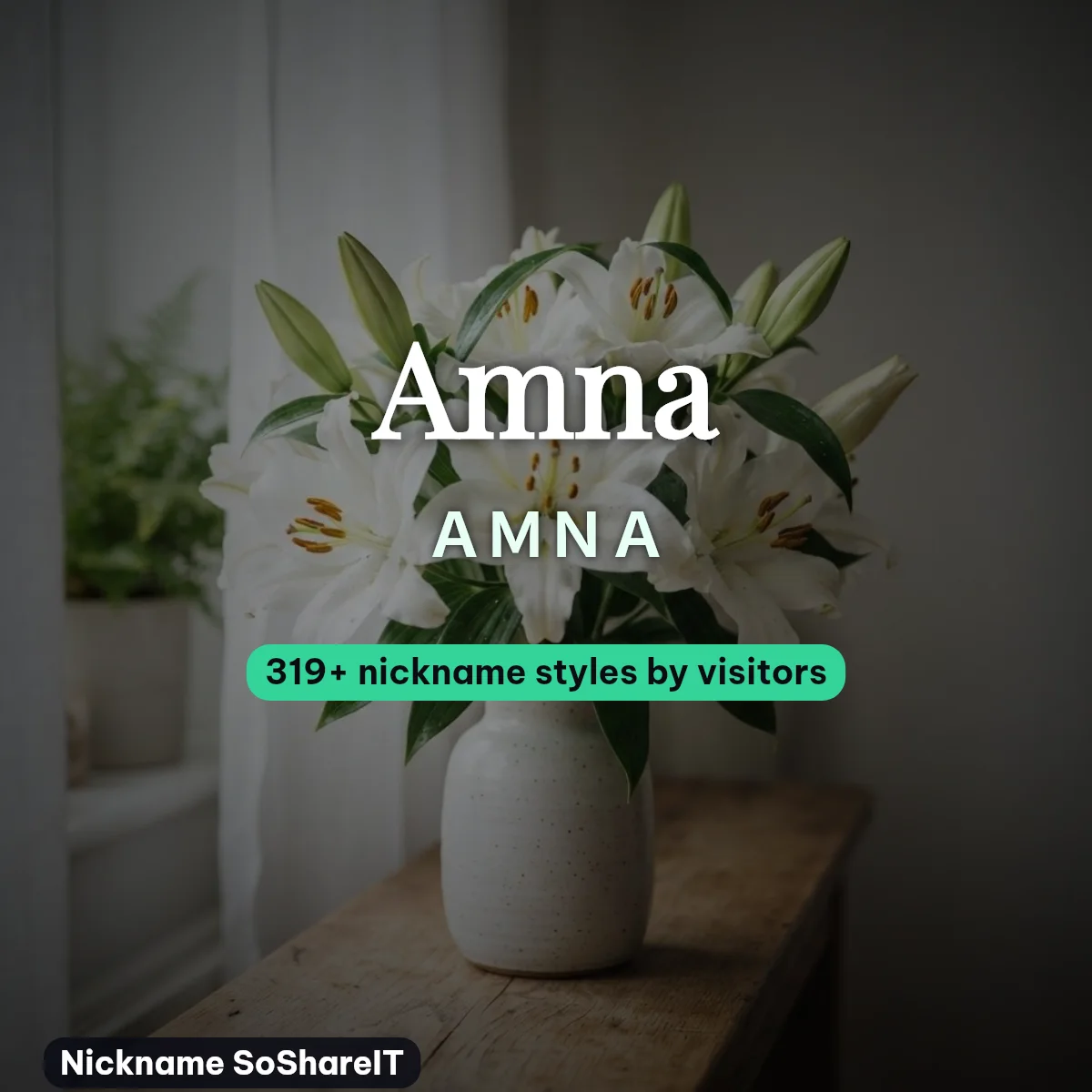 Amna nickname styles on Nickname SoShareIT