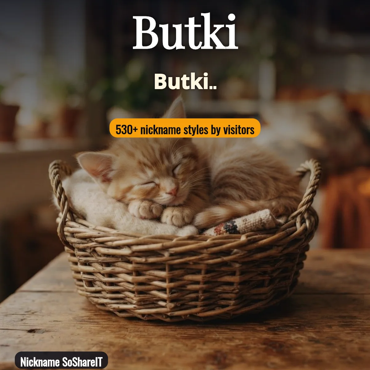 Butki nickname styles on Nickname SoShareIT