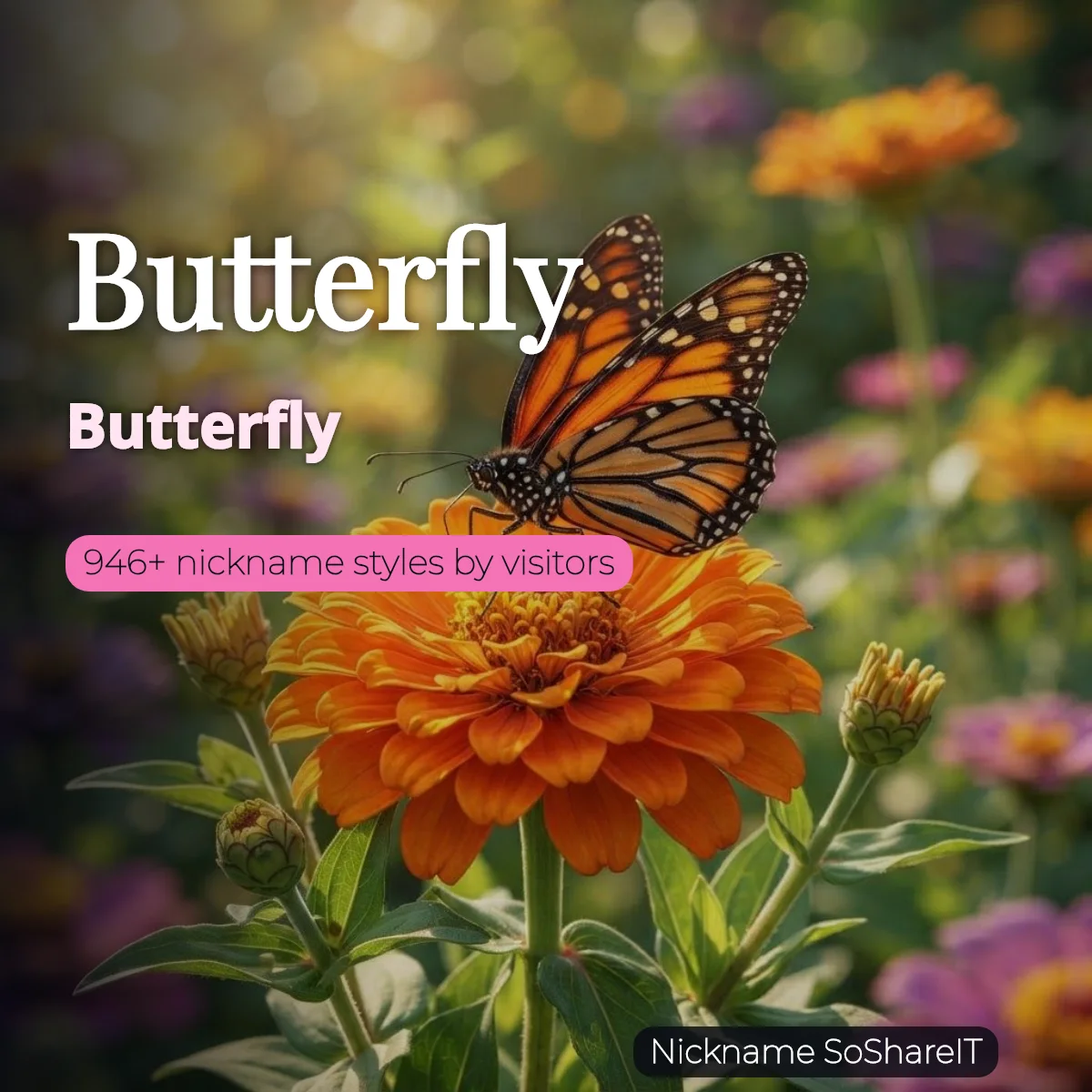 Butterfly nickname styles on Nickname SoShareIT