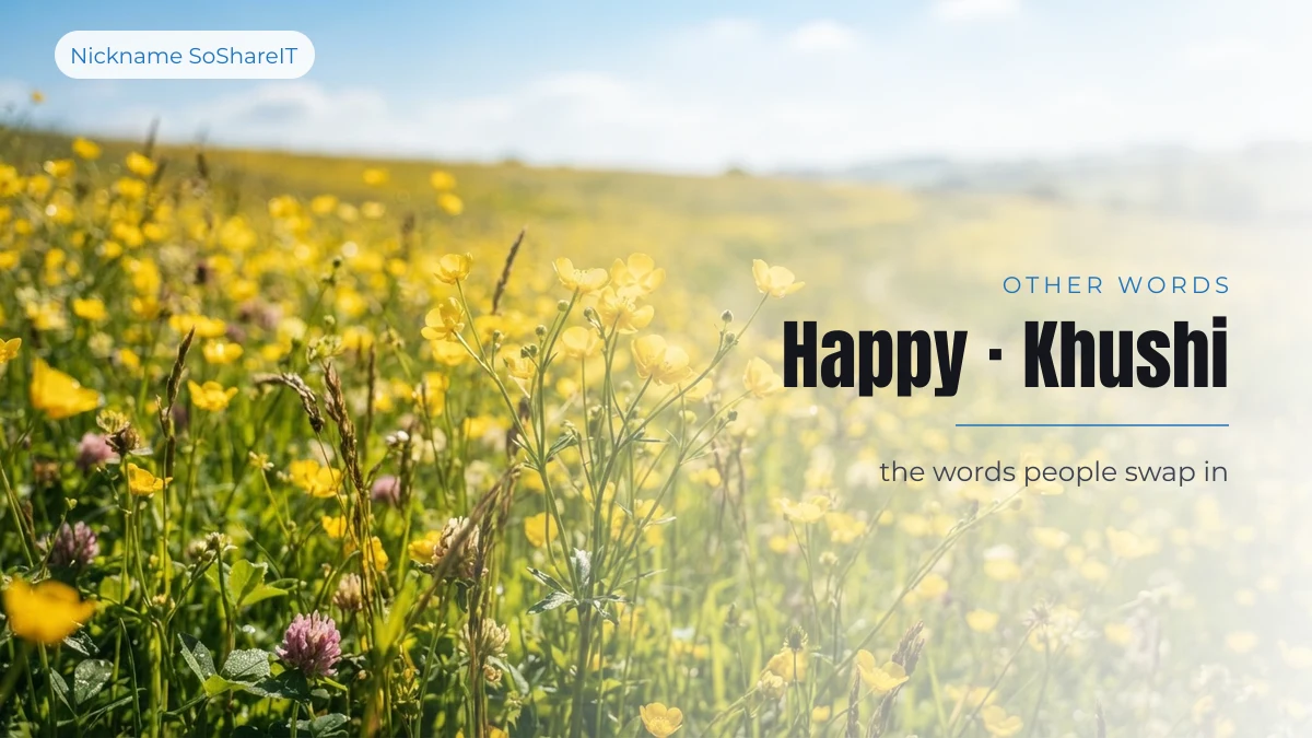 A field of yellow wildflowers in full sun, illustrating other words for happiness