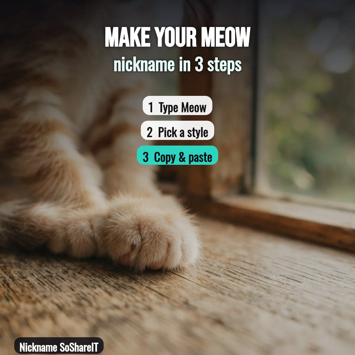 How to make a Meow nickname in 3 steps