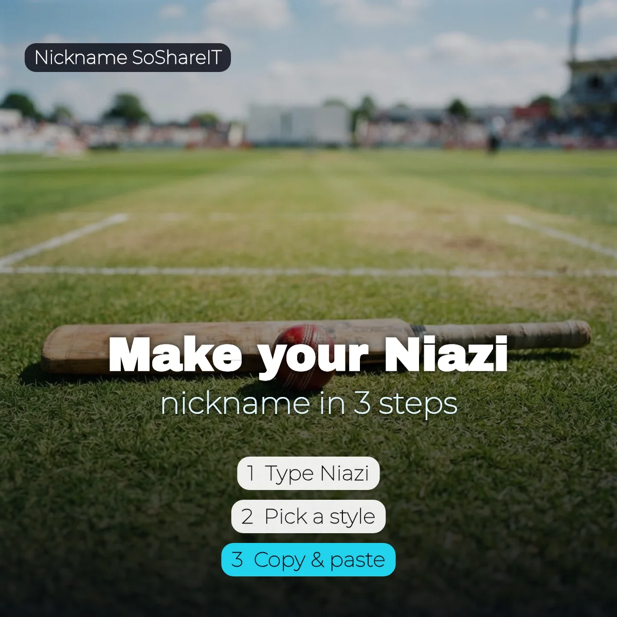 How to make a Niazi nickname in 3 steps