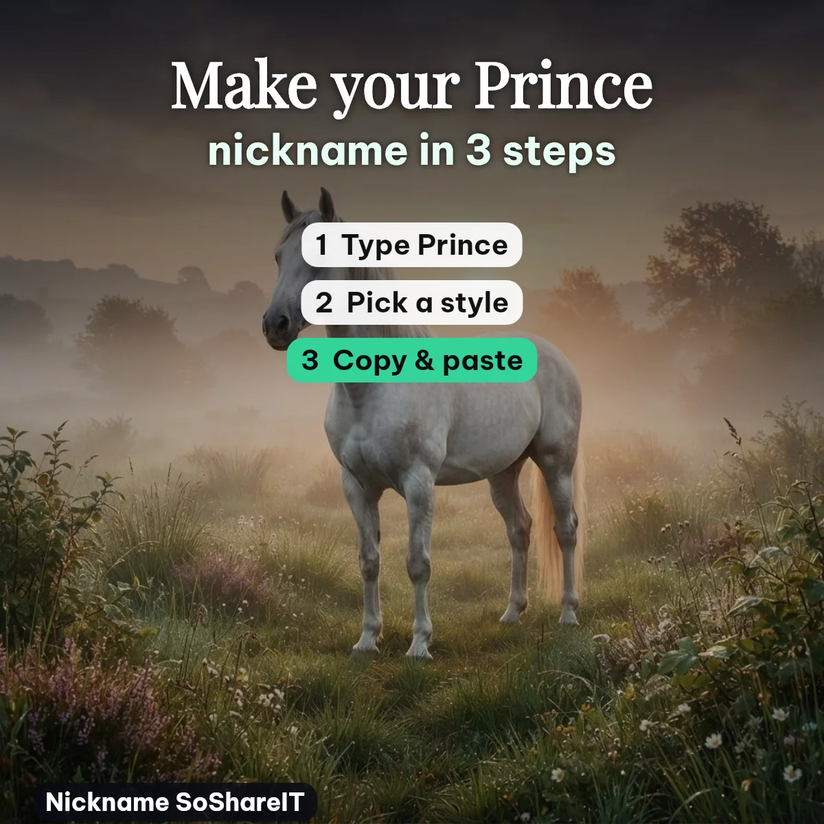 How to make a Prince nickname in 3 steps