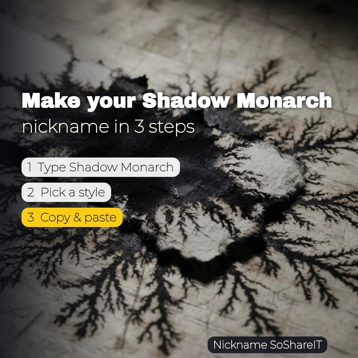 How to make a Shadow Monarch nickname in 3 steps