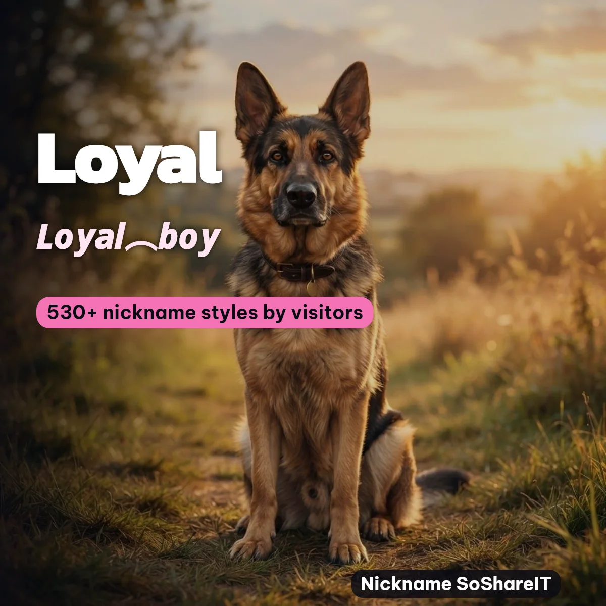 Loyal nickname styles on Nickname SoShareIT