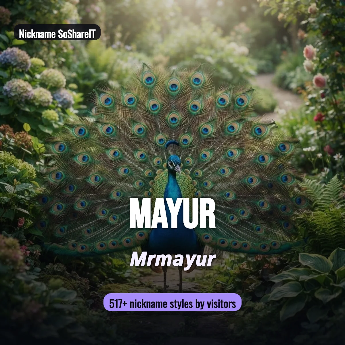 Mayur nickname styles on Nickname SoShareIT