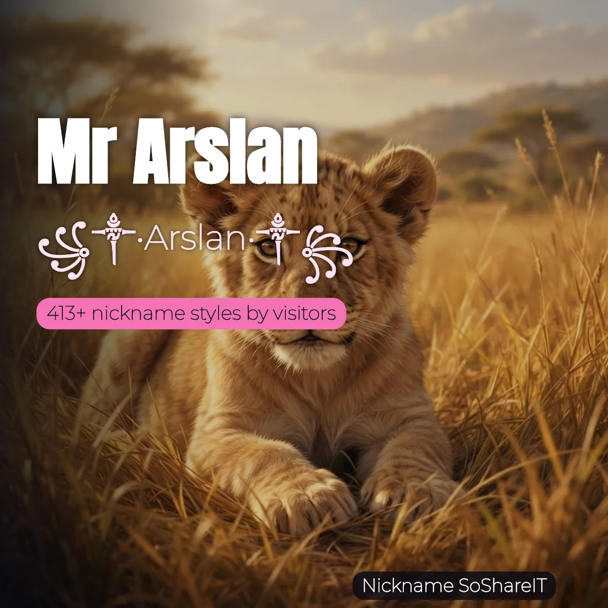 Mr Arslan nickname styles on Nickname SoShareIT
