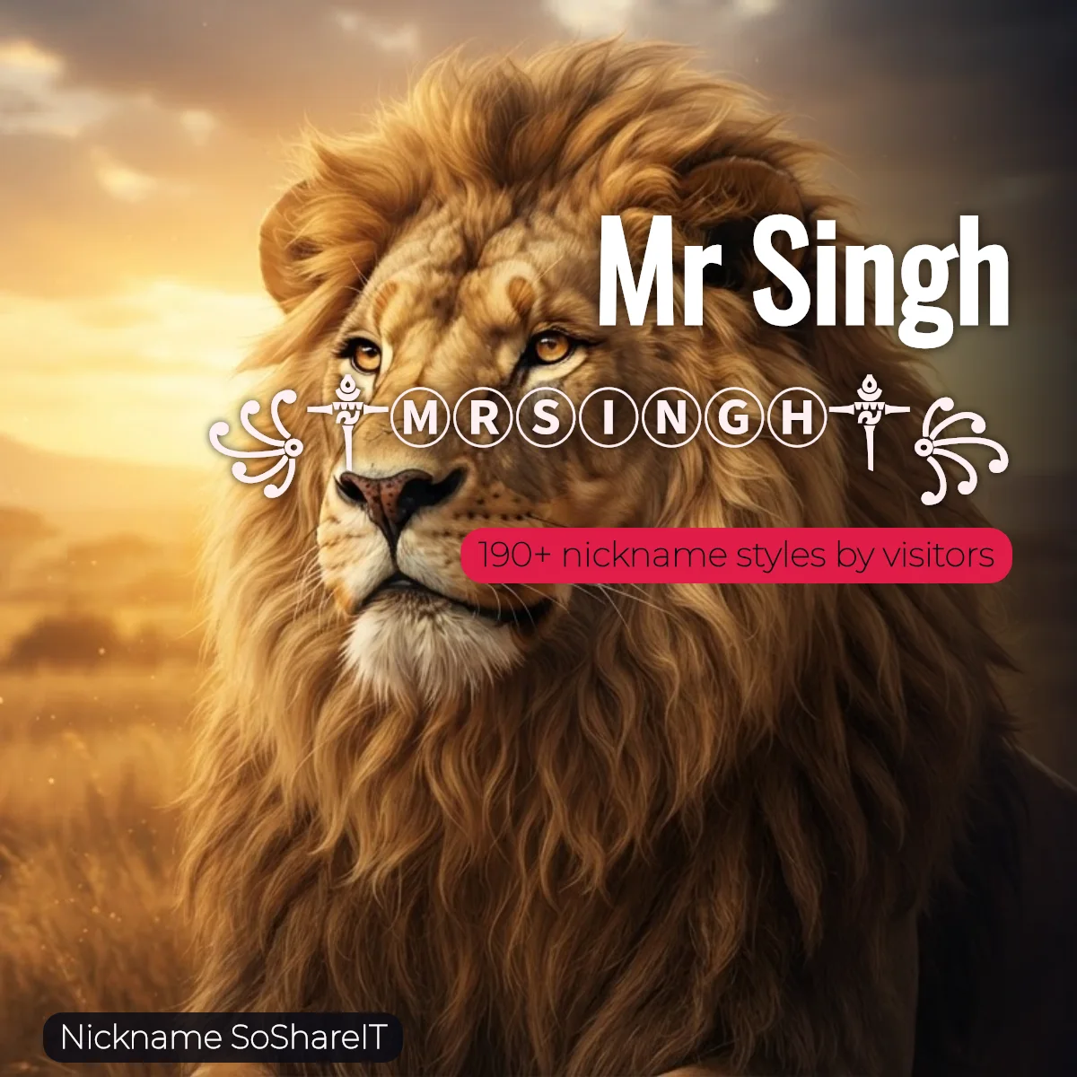 Mr Singh nickname styles on Nickname SoShareIT