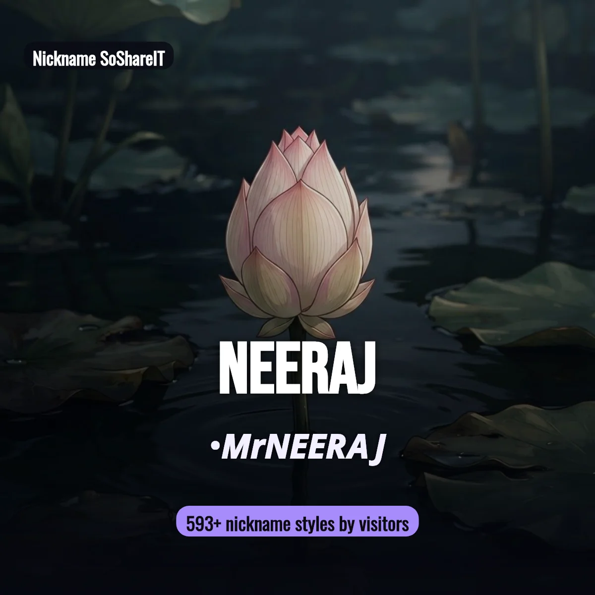 Neeraj nickname styles on Nickname SoShareIT