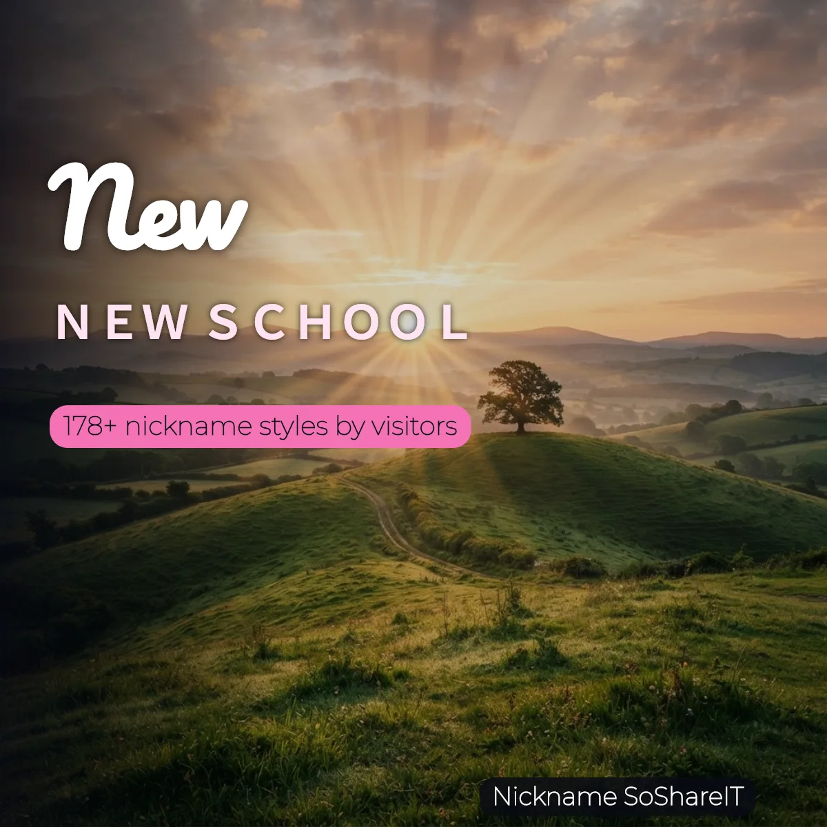 New nickname styles on Nickname SoShareIT