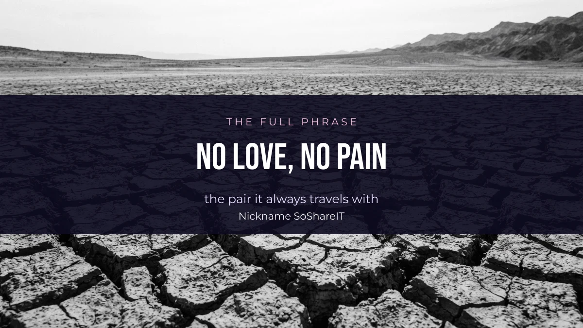 Cracked stone texture, illustrating the No Love No Pain phrase