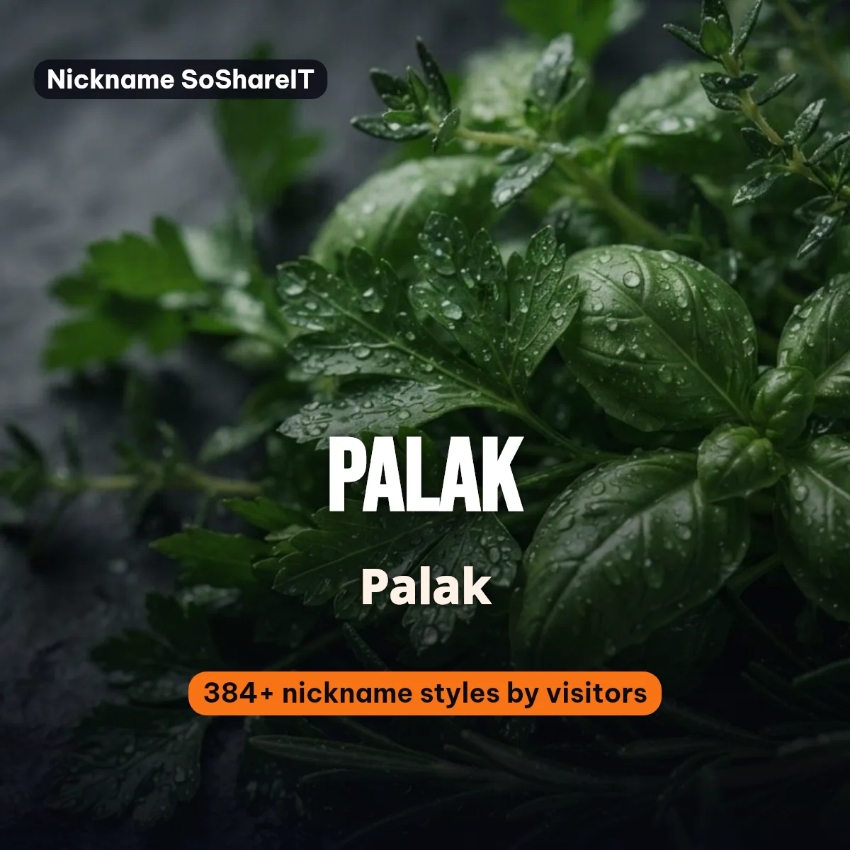 Palak nickname styles on Nickname SoShareIT