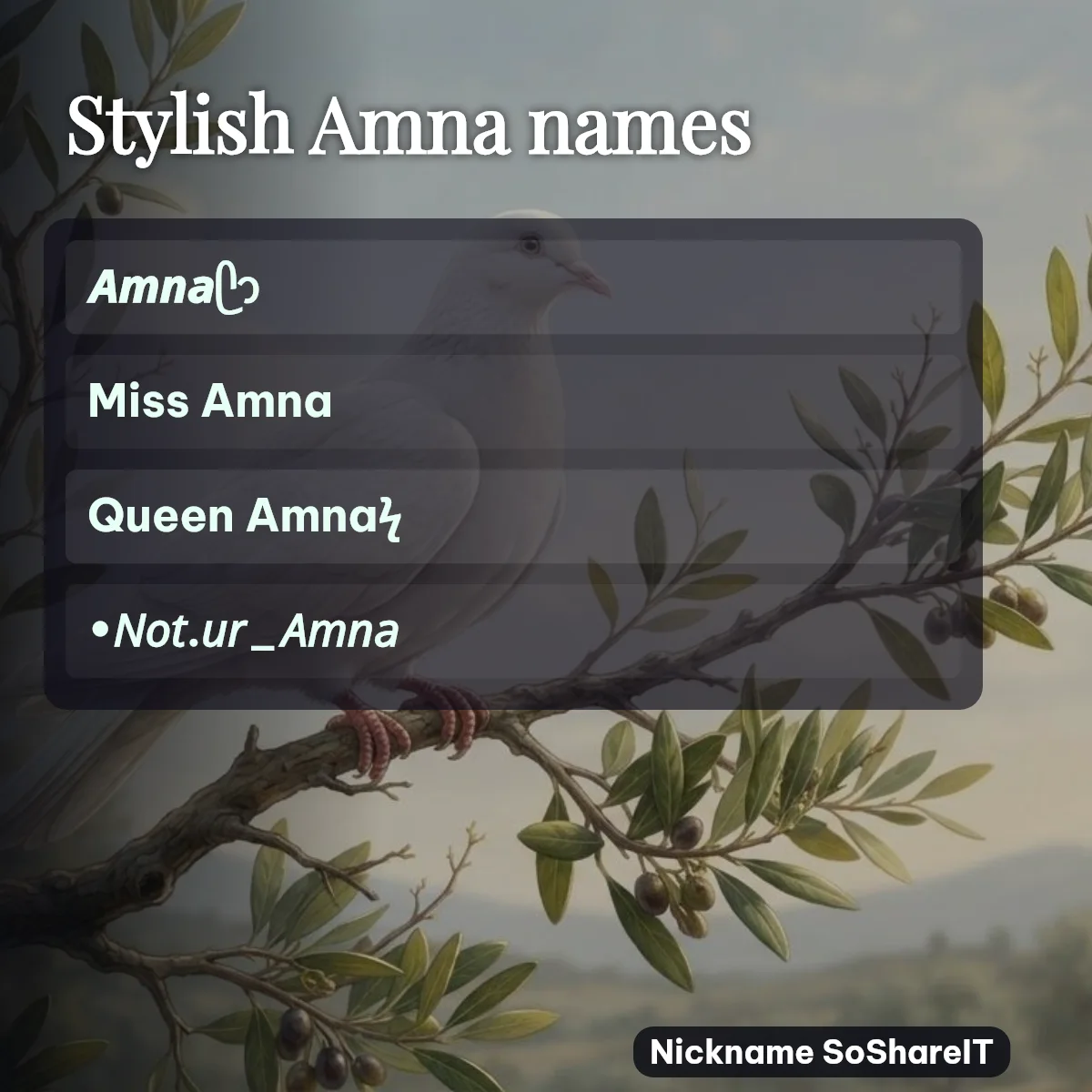 Stylish Amna names with fonts and symbols