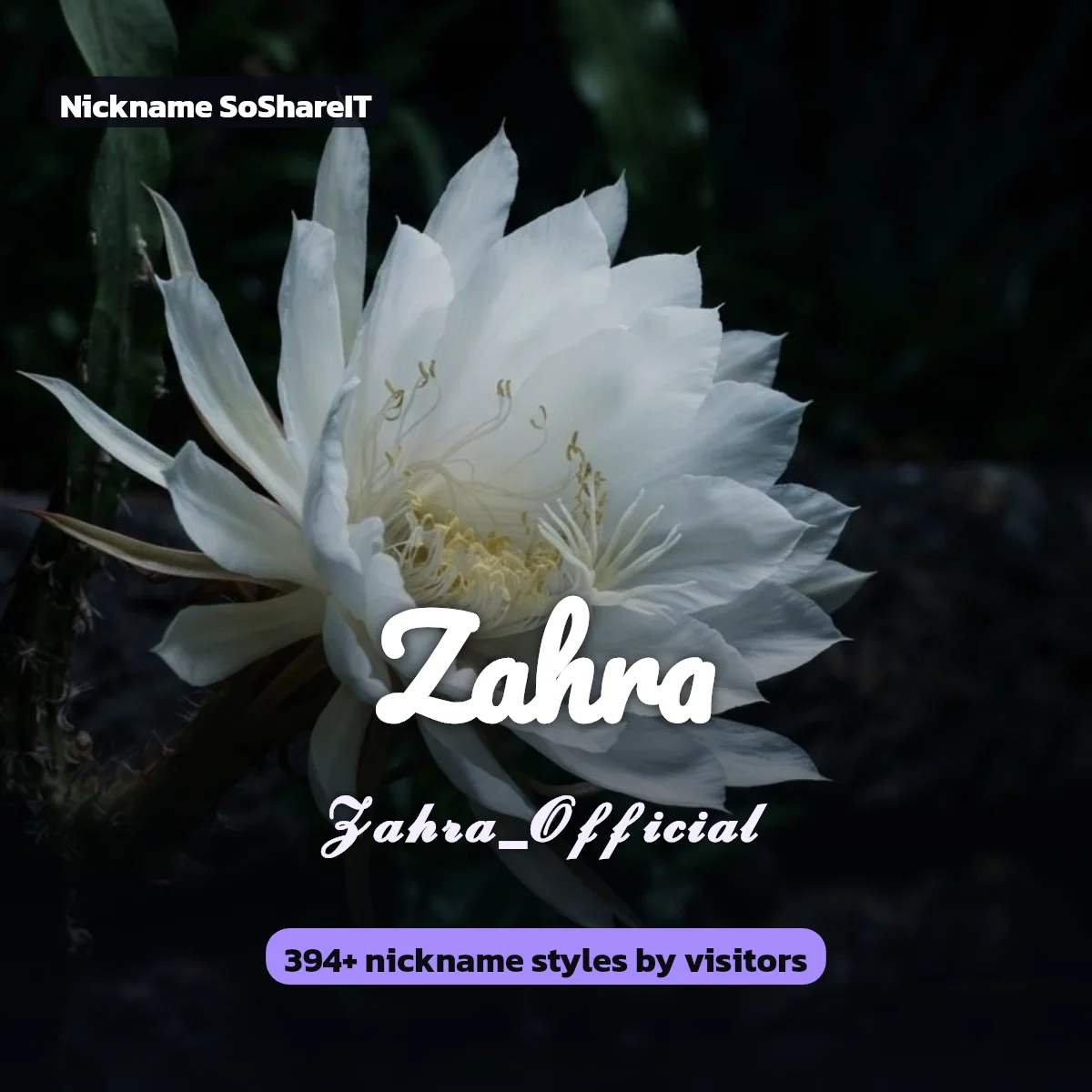 Zahra nickname styles on Nickname SoShareIT